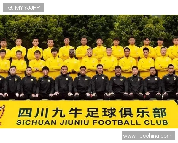 九牛足球：探索中国足球的崛起与未来发展之路